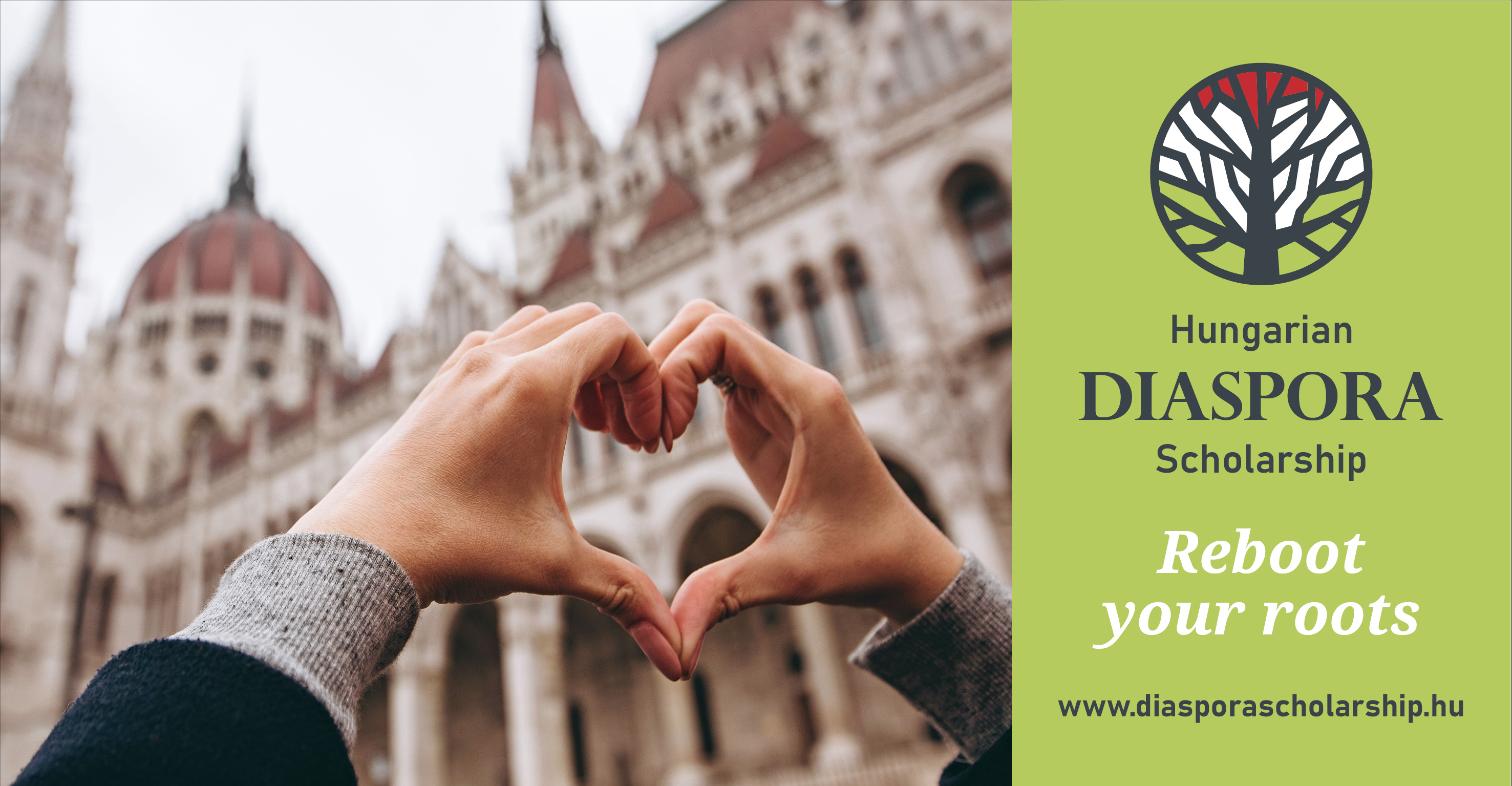 Diaspora Scholarship